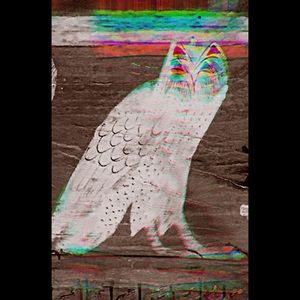 Meet your Posher, Antonio